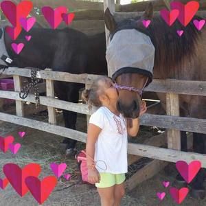 Meet your Posher, Shady